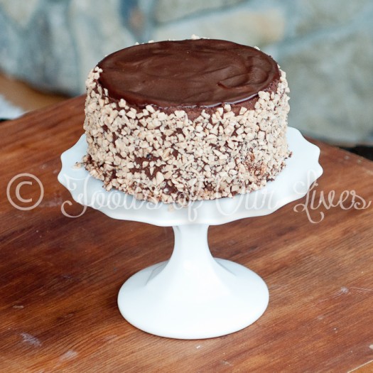 Chocolate Ganache Toffee Cake
