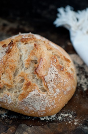 Artisan Bread in 5 minutes