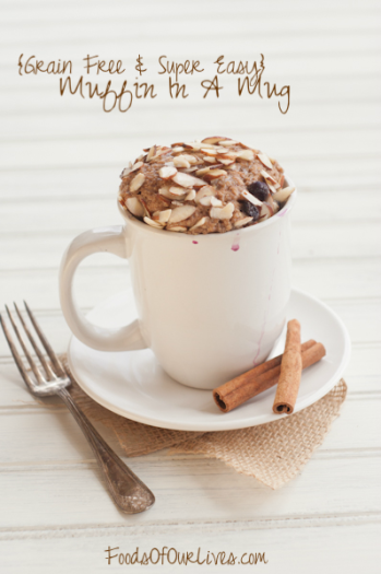 Grain Free Muffin In A  Mug | FoodsOfOurLives.com